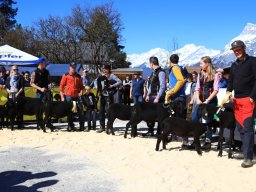 2019_ausstellung polling_370